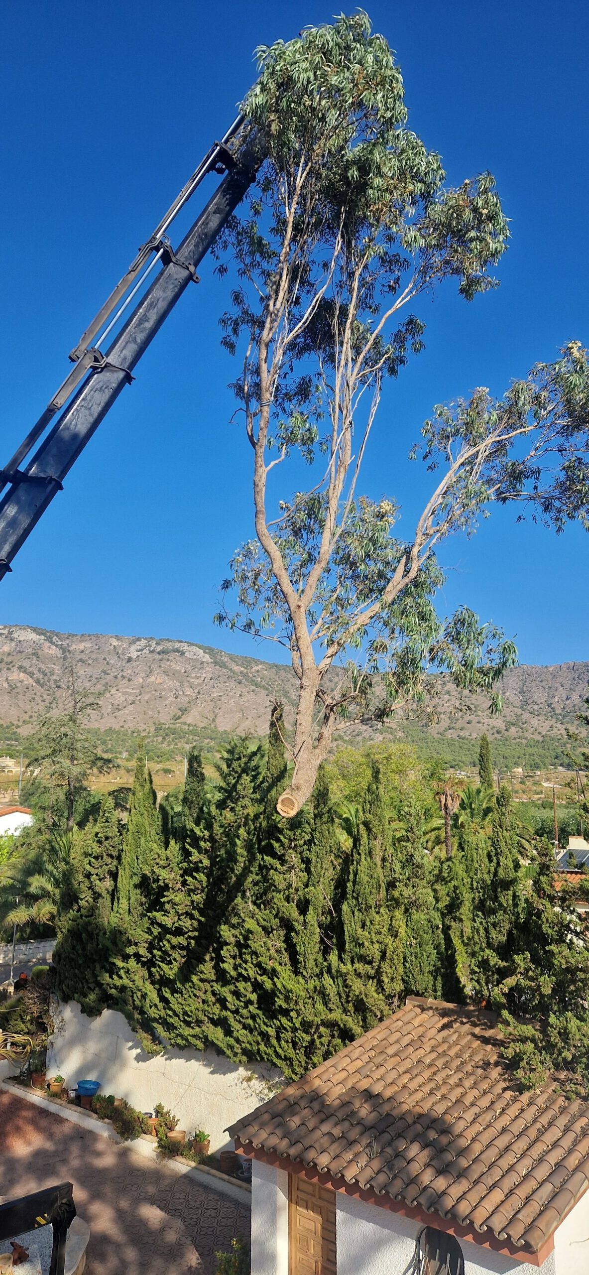 Tala especializada en alturas