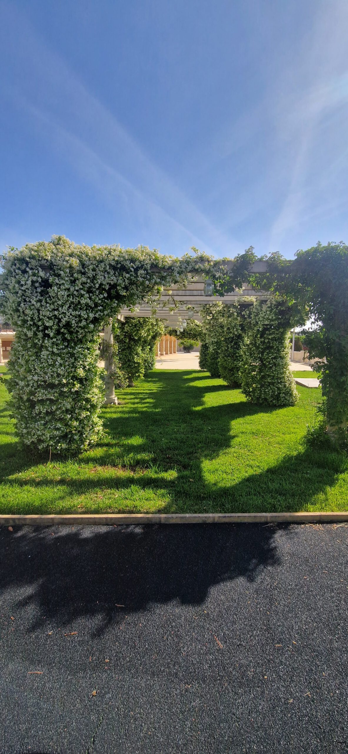 Mantenimiento de jardines
