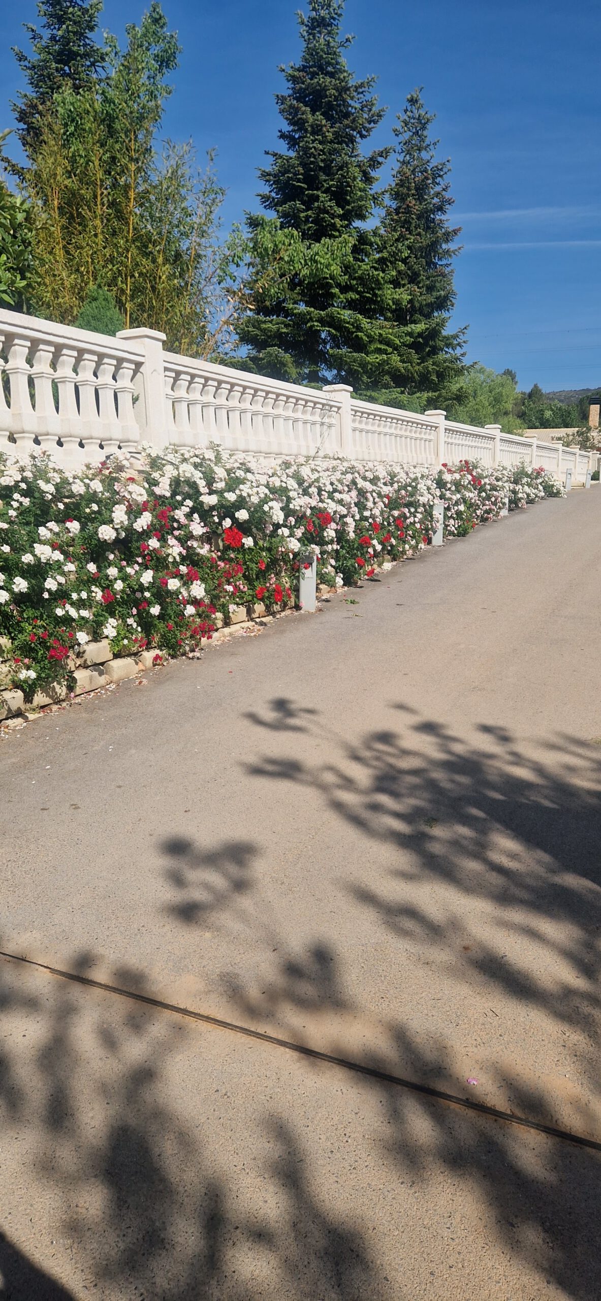 Mantenimiento de jardines