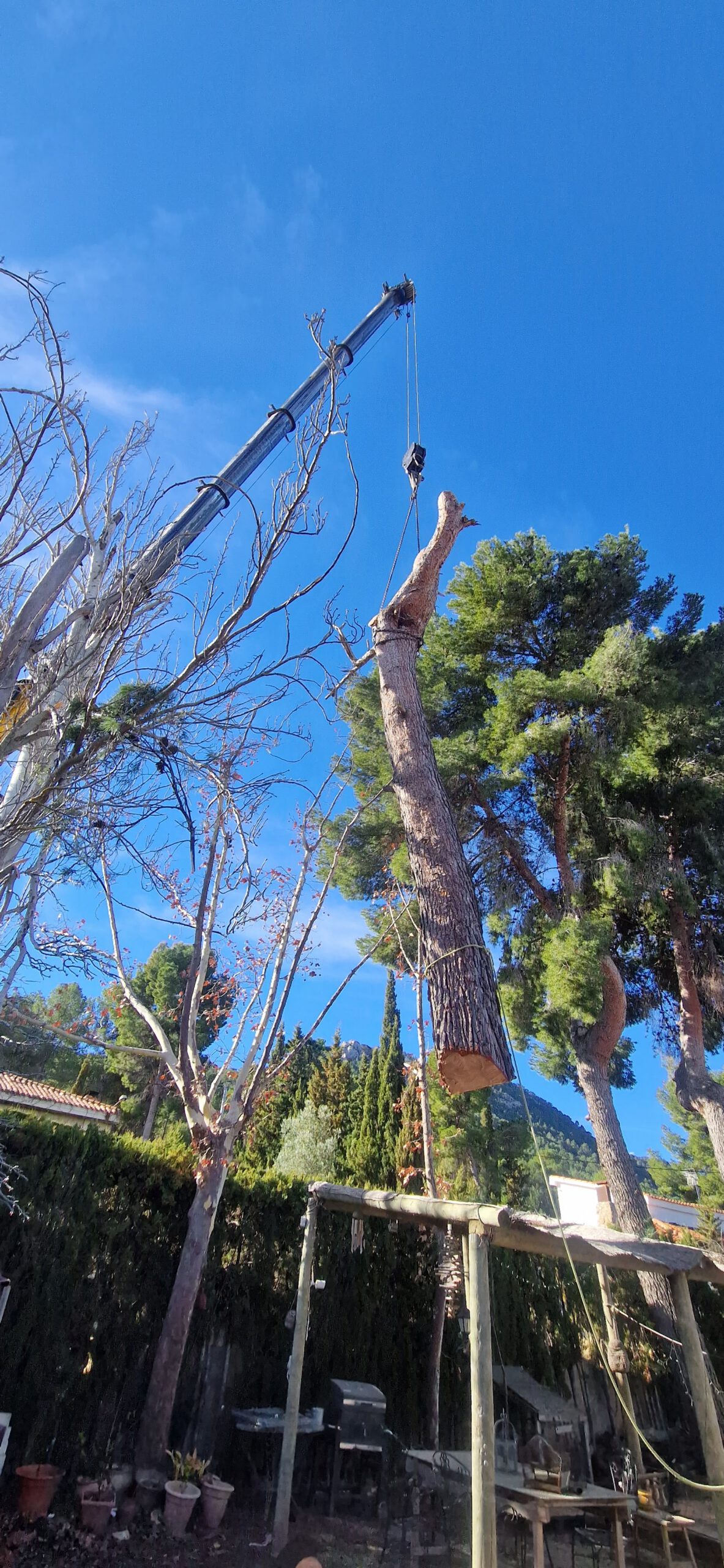 Tala especializada en alturas