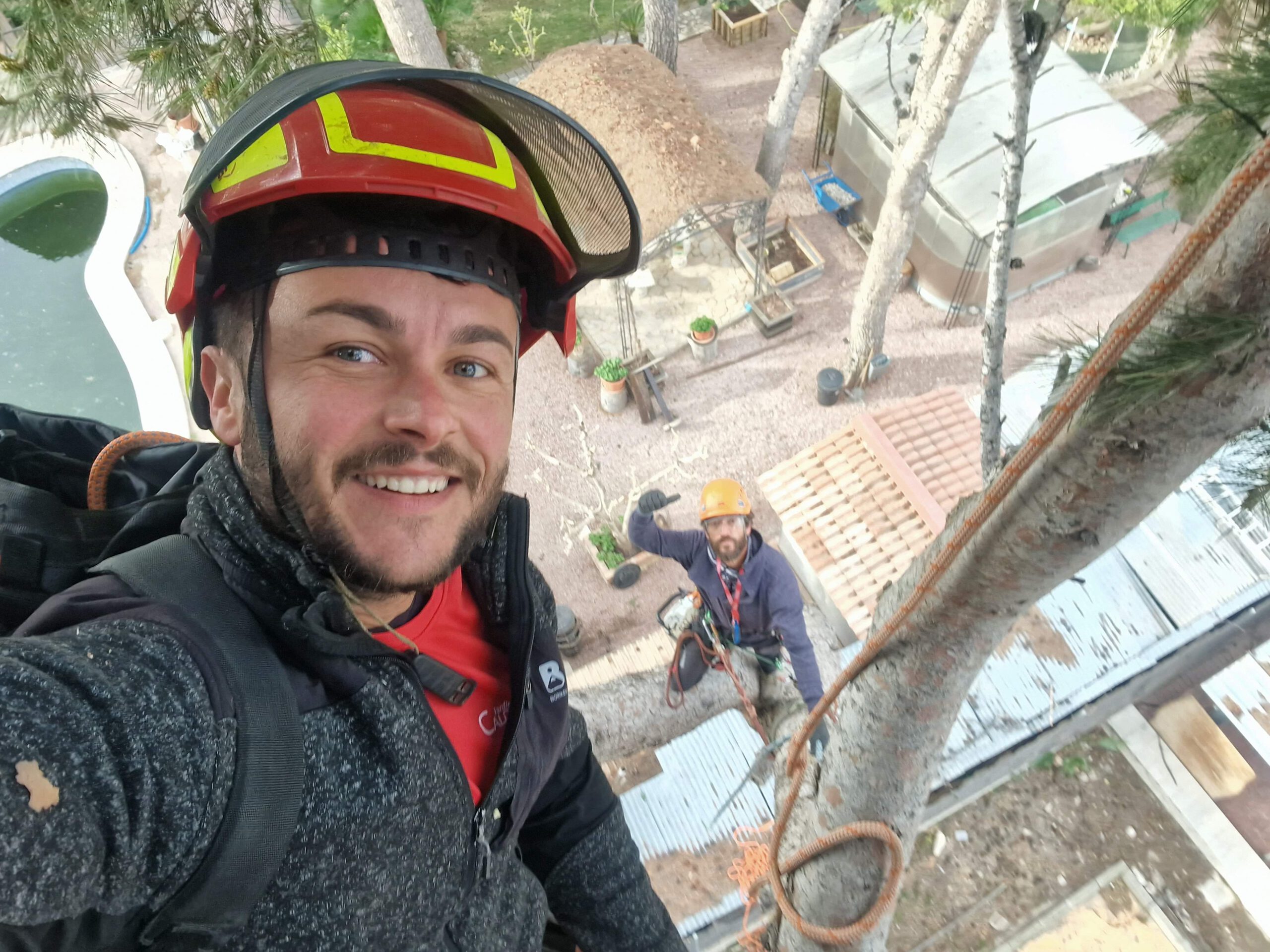 Tala especializada en alturas